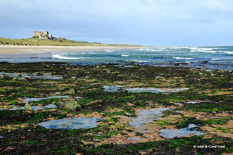 _MG_3350 Bamburgh Castle South.JPG